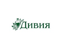 дивия.png дивия.png