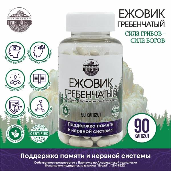 Изображение товара Ежовик Гребенчатый мицелий Грибной Бог №90 Ежовик Гребенчатый мицелий Грибной Бог №90 фотография